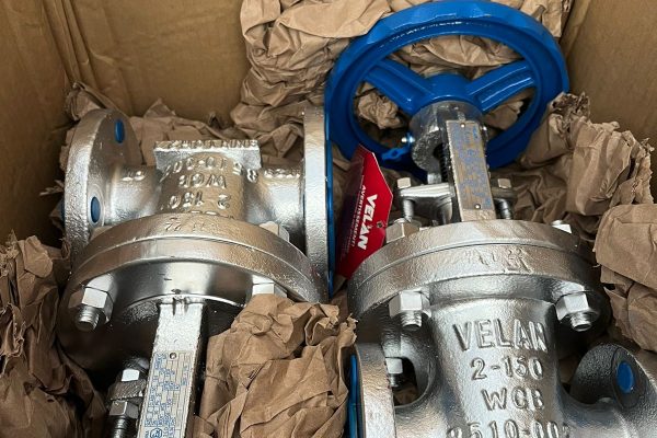 WhatsApp Image 2024-02-26 at 09.56.56 (1)